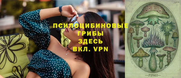 a pvp Ельня