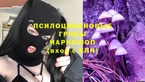a pvp Ельня
