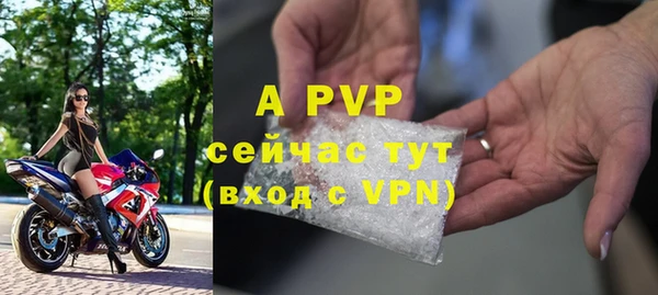 a pvp Ельня