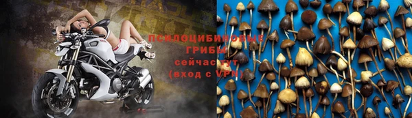 a pvp Ельня