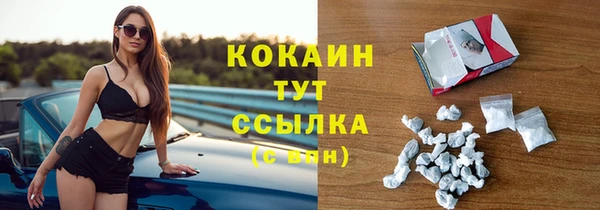 a pvp Ельня