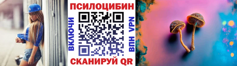 Галлюциногенные грибы Psilocybine cubensis  Купить где  Киренск 